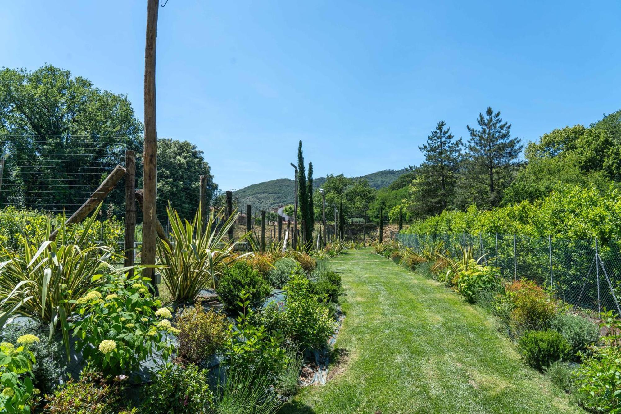 Villa Vittoria - Lusso Con Piscina, Tennis, Jacuzzi E Palestra Lucca Eksteriør billede